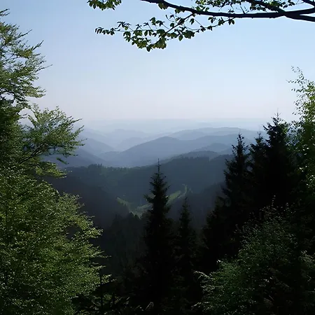 Haus Margot Armbruster شقة Bad Rippoldsau-Schapbach