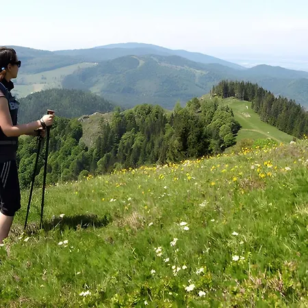 Haus Margot Armbruster شقة *