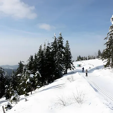 Haus Margot Armbruster